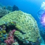 Raja Ampat Terancam: Benarkah Tambang Nikel Membahayakan Surga?